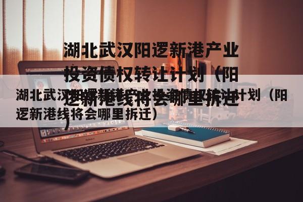 湖北武汉阳逻新港产业投资债权转让计划（阳逻新港线将会哪里拆迁）
