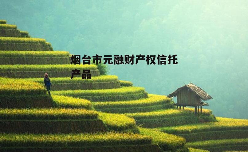 烟台市元融财产权信托产品