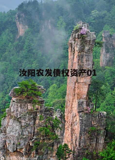 汝阳农发债权资产01