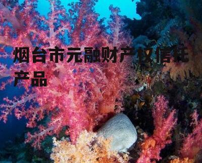 烟台市元融财产权信托产品
