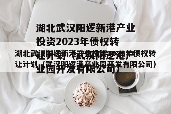 湖北武汉阳逻新港产业投资2023年债权转让计划（武汉阳逻港产业园开发有限公司）