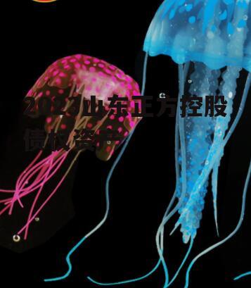 2023山东正方控股债权资产