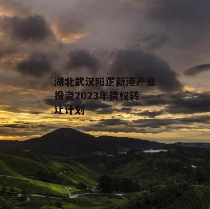 湖北武汉阳逻新港产业投资2023年债权转让计划