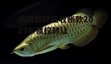 咸阳新控应收账款2023年债权转让