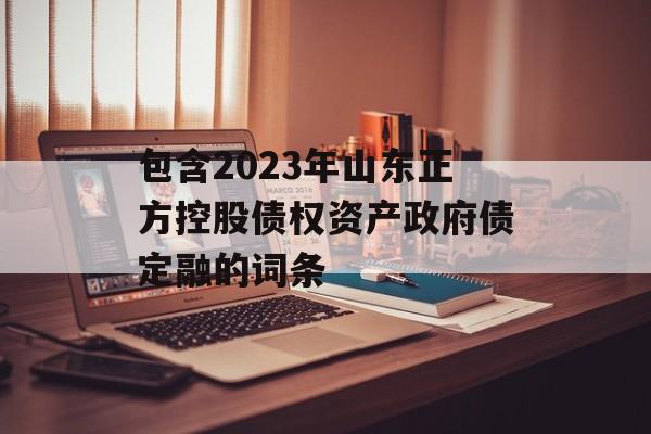 包含2023年山东正方控股债权资产政府债定融的词条
