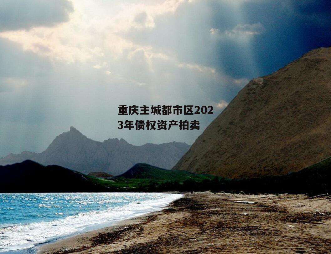 重庆主城都市区2023年债权资产拍卖