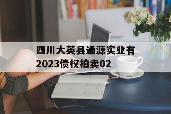 四川大英县通源实业有2023债权拍卖02