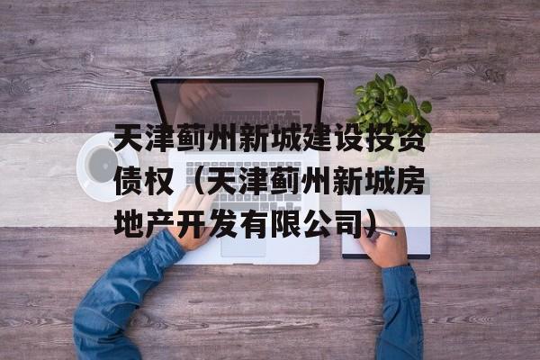 天津蓟州新城建设投资债权（天津蓟州新城房地产开发有限公司）