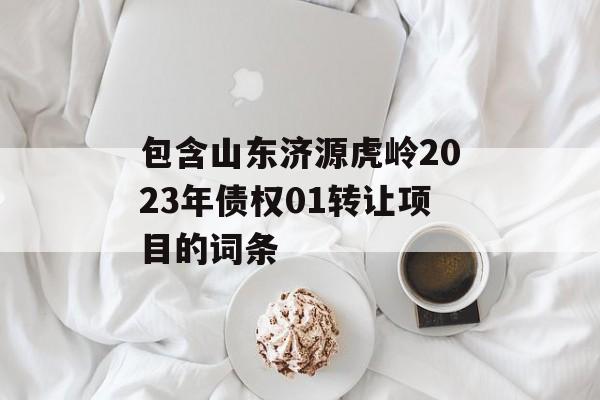 包含山东济源虎岭2023年债权01转让项目的词条