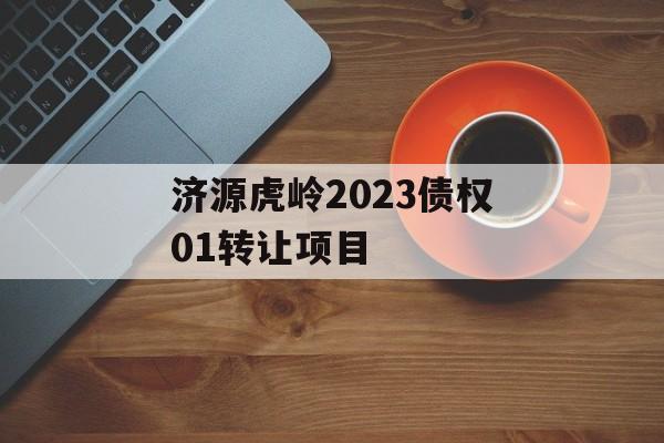 济源虎岭2023债权01转让项目