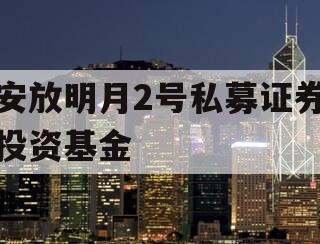安放明月2号私募证券投资基金