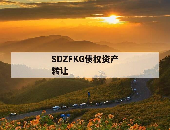 SDZFKG债权资产转让