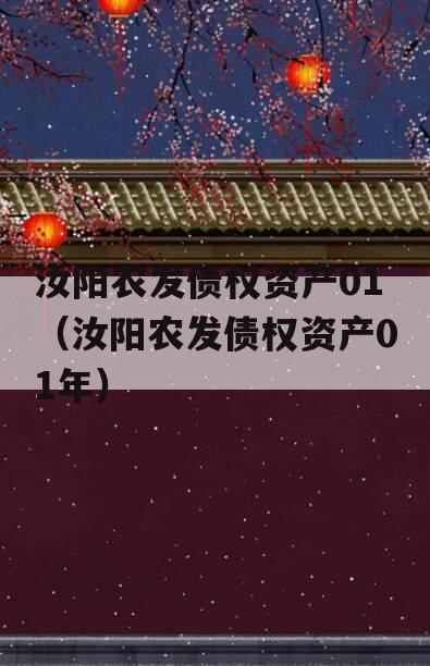 汝阳农发债权资产01（汝阳农发债权资产01年）