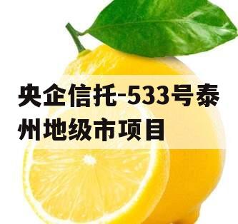 央企信托-533号泰州地级市项目