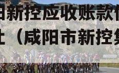 咸阳新控应收账款债权转让（咸阳市新控集团）