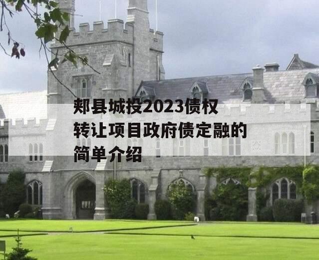 郏县城投2023债权转让项目政府债定融的简单介绍