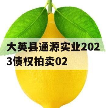 大英县通源实业2023债权拍卖02