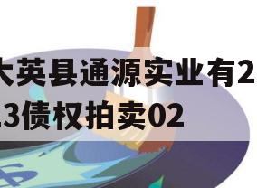 大英县通源实业有2023债权拍卖02