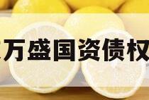 重庆万盛国资债权项目