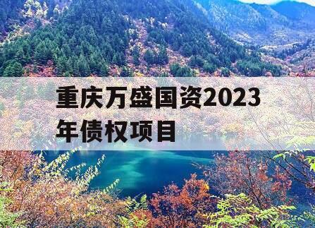重庆万盛国资2023年债权项目