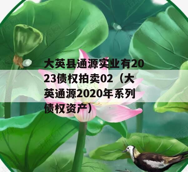 大英县通源实业有2023债权拍卖02（大英通源2020年系列债权资产）