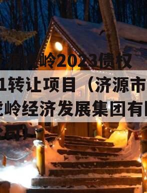 济源虎岭2023债权01转让项目（济源市虎岭经济发展集团有限公司）