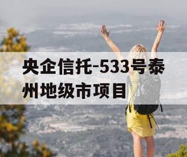 央企信托-533号泰州地级市项目