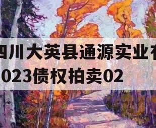 四川大英县通源实业有2023债权拍卖02