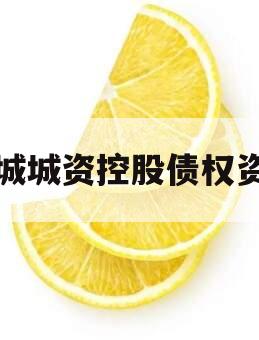 邹城城资控股债权资产