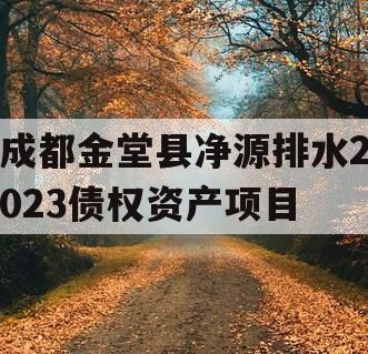 成都金堂县净源排水2023债权资产项目