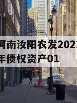 河南汝阳农发2023年债权资产01