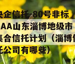 央企信托-80号非标AAA山东淄博地级市集合信托计划（淄博信托公司有哪些）