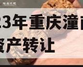 2023年重庆潼南债权资产转让