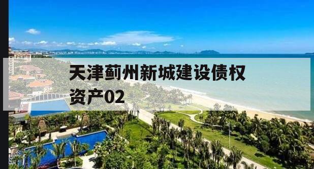 天津蓟州新城建设债权资产02