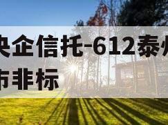央企信托-612泰州市非标