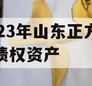 2023年山东正方控股债权资产