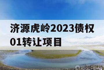 济源虎岭2023债权01转让项目