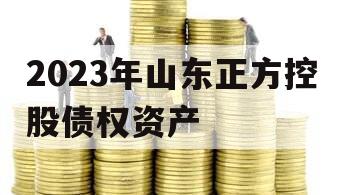 2023年山东正方控股债权资产