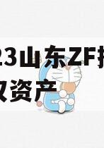 2023山东ZF控股债权资产