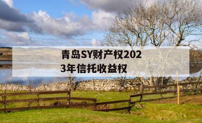 青岛SY财产权2023年信托收益权