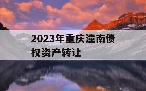 2023年重庆潼南债权资产转让