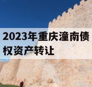 2023年重庆潼南债权资产转让