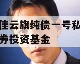 维佳云旗纯债一号私募证券投资基金