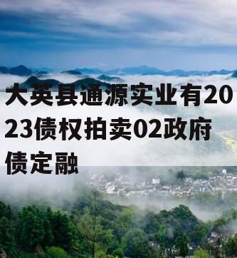 大英县通源实业有2023债权拍卖02政府债定融