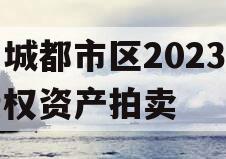 主城都市区2023年债权资产拍卖