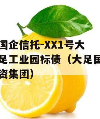 国企信托-XX1号大足工业园标债（大足国资集团）