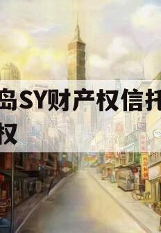 青岛SY财产权信托收益权