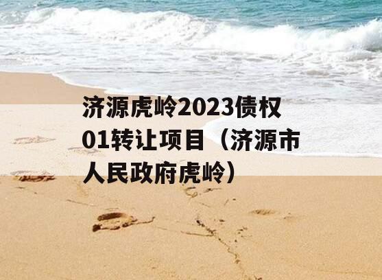 济源虎岭2023债权01转让项目（济源市人民政府虎岭）