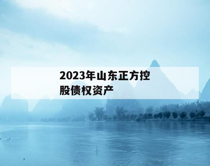 2023年山东正方控股债权资产
