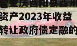 包含重庆酉阳县酉州实业资产2023年收益权转让政府债定融的词条